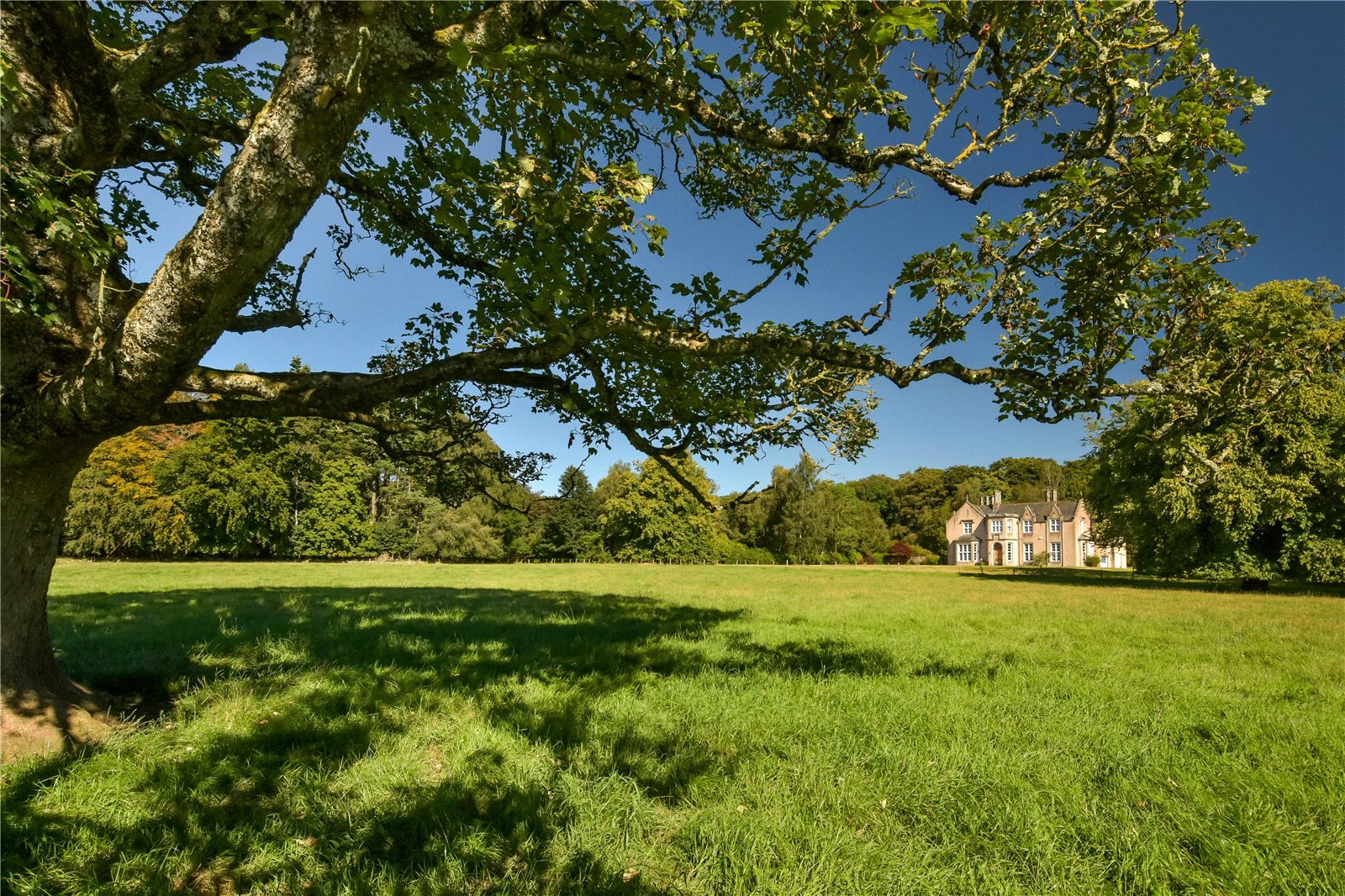 Garden Grounds