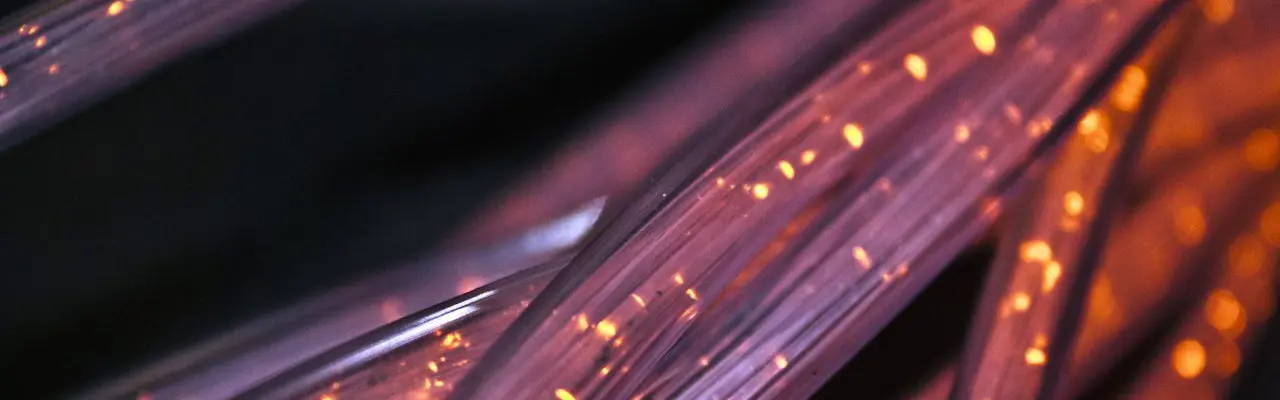 Insights | Digital connectivity has become one of the most crucial pieces of national infrastructure. Edward Fletcher reports on progress. : Fibre