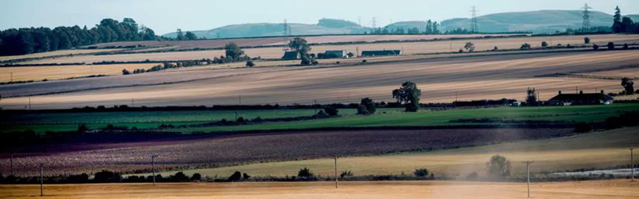 Contract farming agreements maximise flexibility for landowners: 18. Combine 2 Contract Farming 808X455