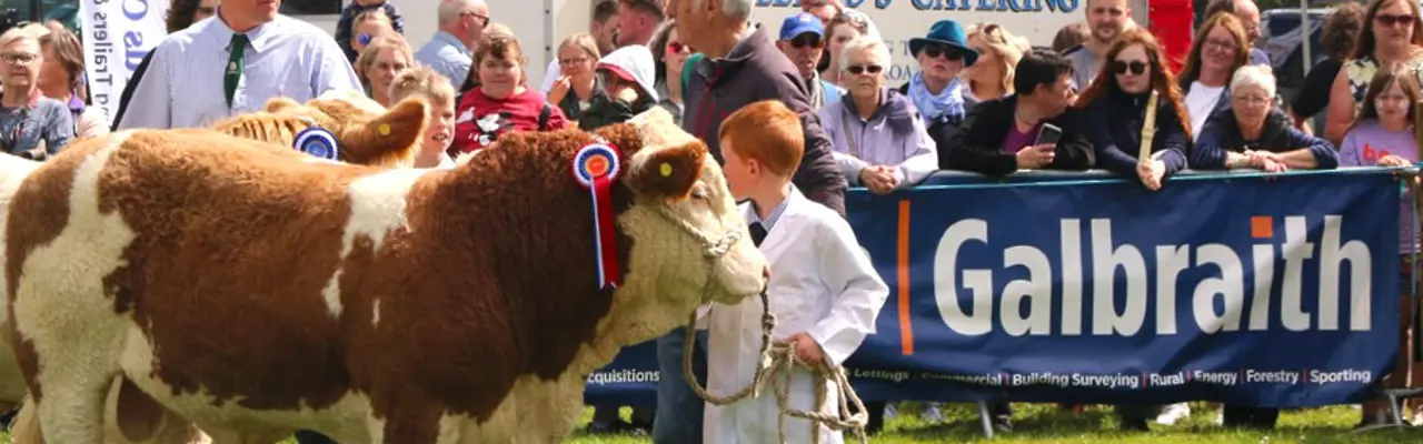 Stewartry Show 2024: Edit 1