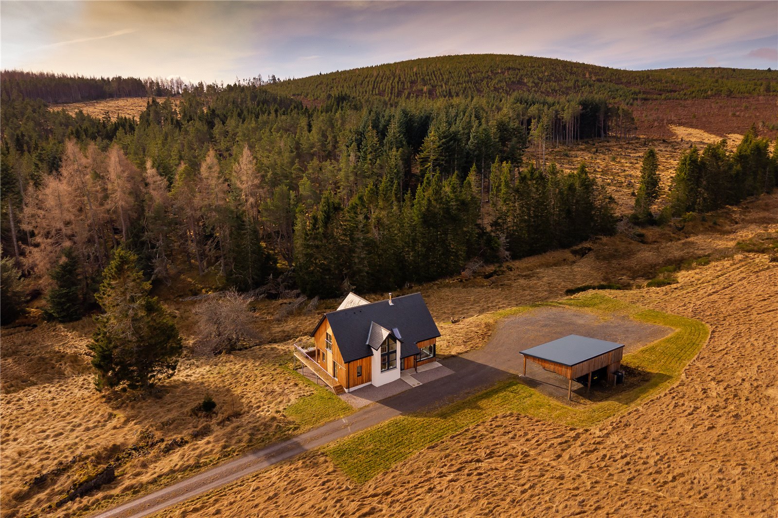 Drone Image