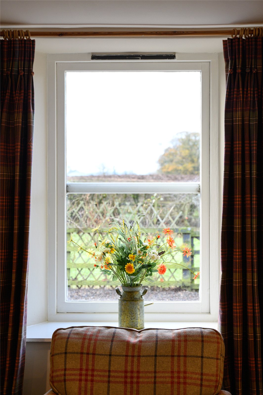 View From Window