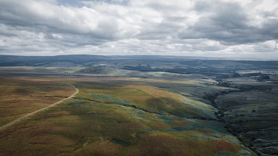 Langholm Moor | Galbraith