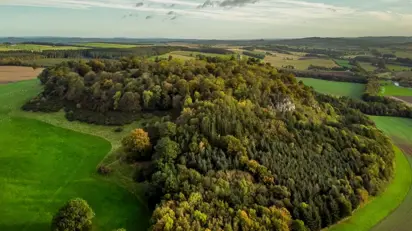 Minto-Biodiversity-ForestHill