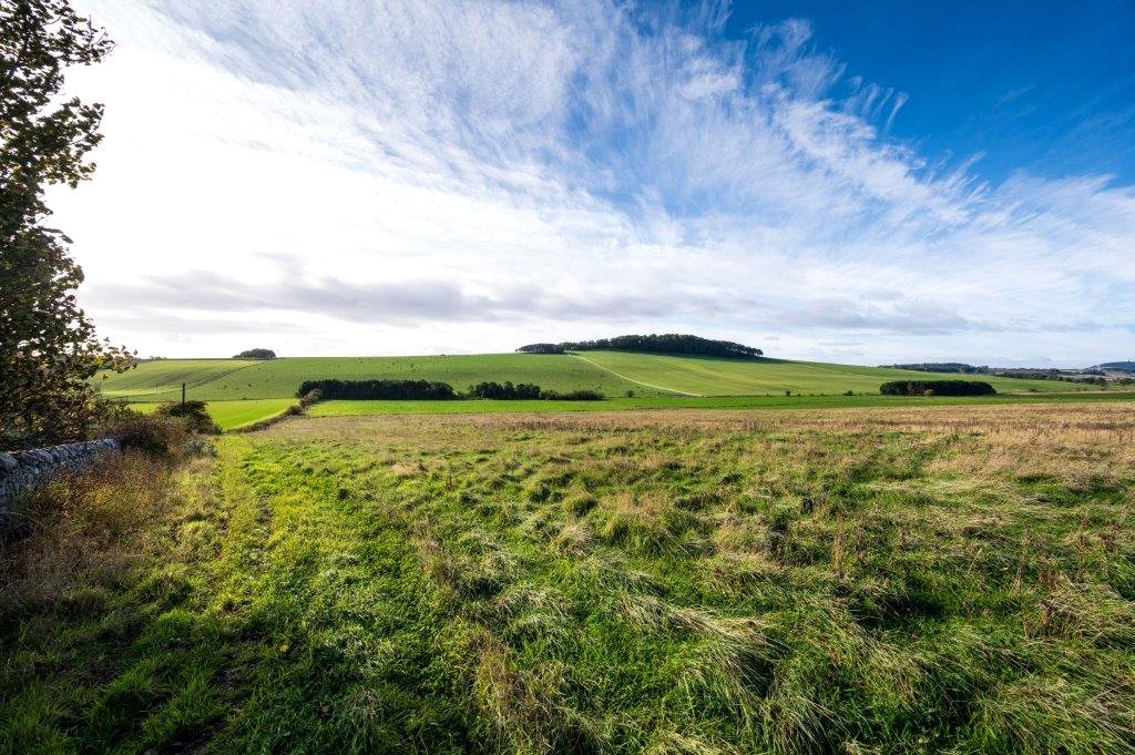 Farmland