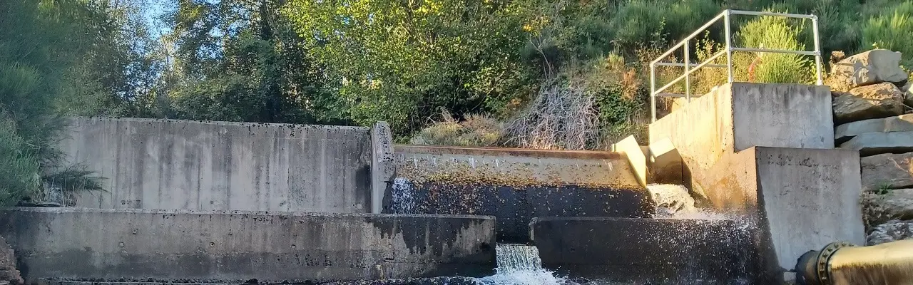 Energy update: Hydro – an asset in high demand: Calum Hydro Story The Pitnacree Scheme