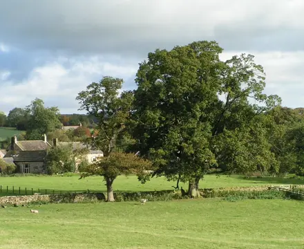 Natural capital update: SFI action limit suggests policy making on the hoof: Countryside | Galbraith