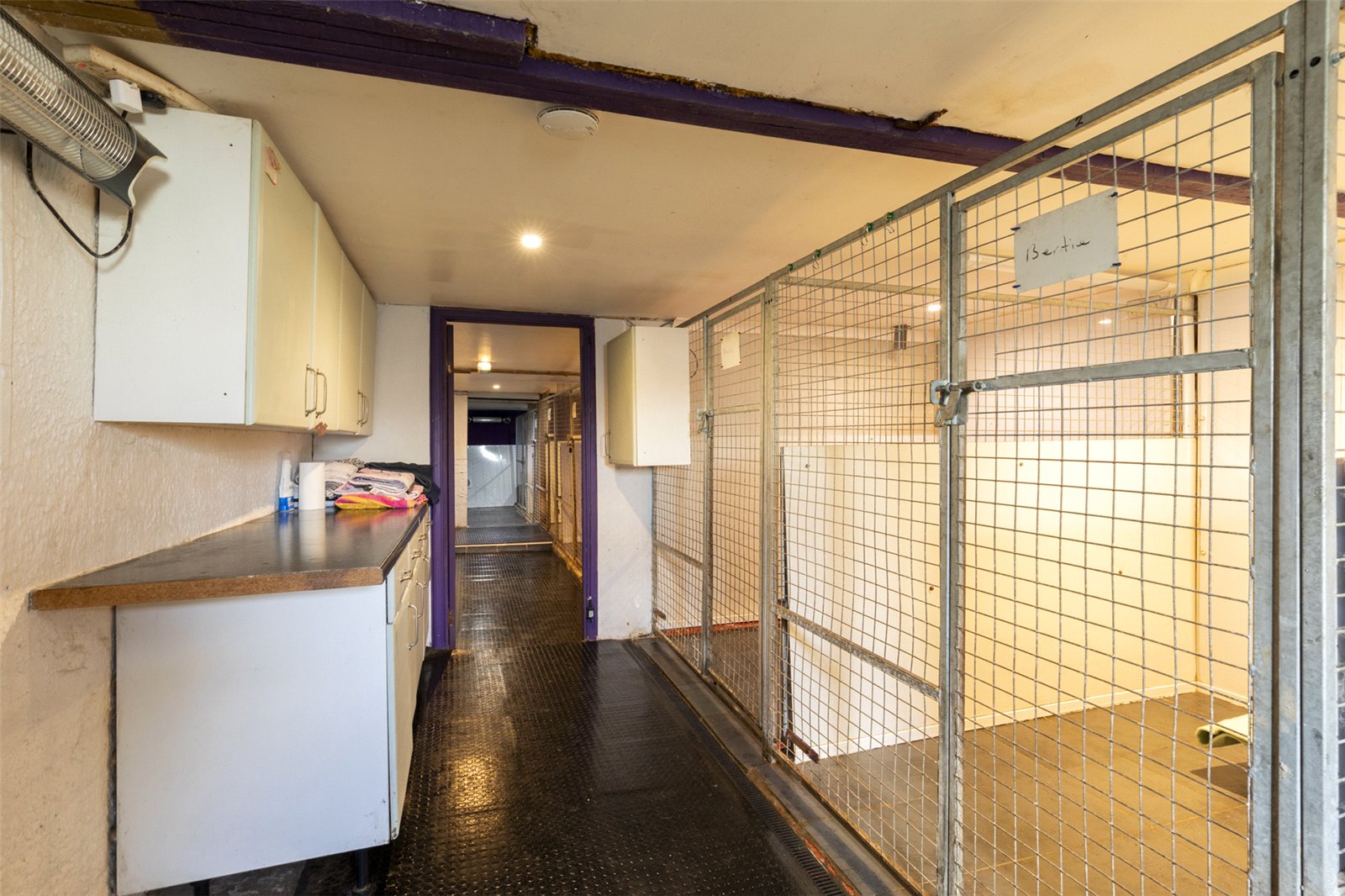 Kennels