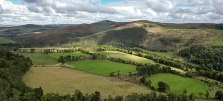 Productive grassland in the Tweed Valley: Land At Yair 1