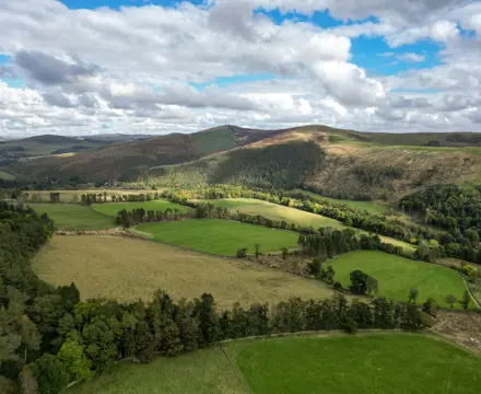 Productive grassland in the Tweed Valley: Land At Yair 1