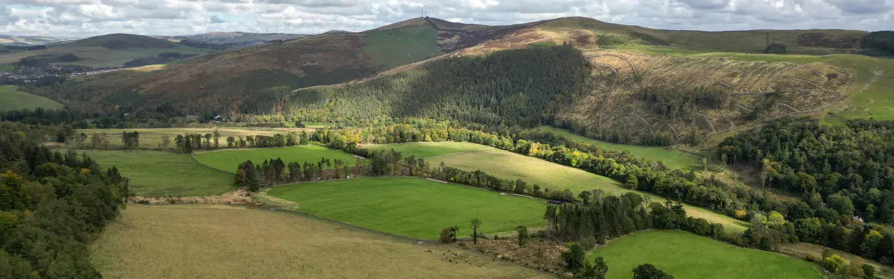 Productive grassland in the Tweed Valley: Land At Yair 1