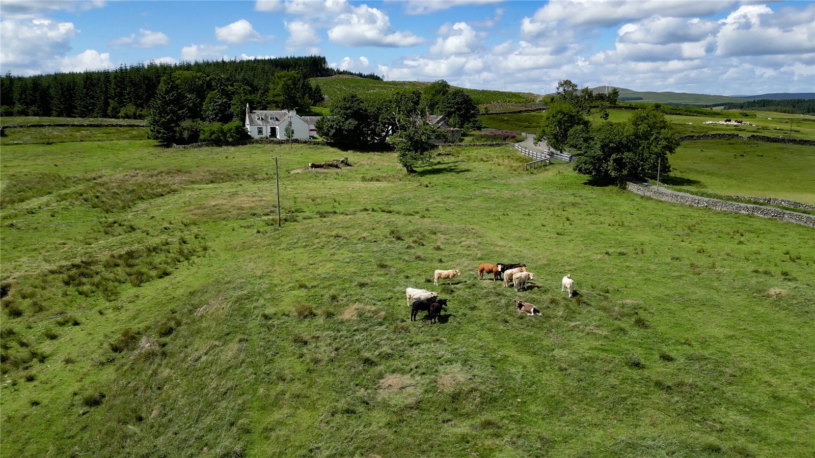 View To Property