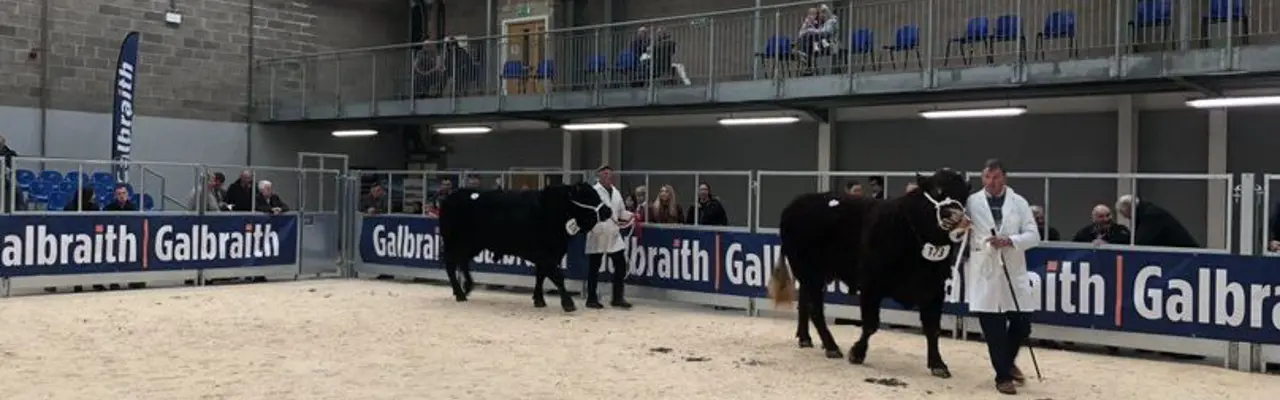 Oh to get back to show time!: 1613734328 D5zd8jqxoaaijuy (1) 808X455