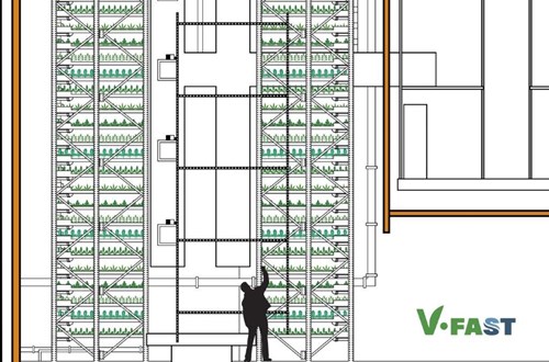 Vertical Farm 2