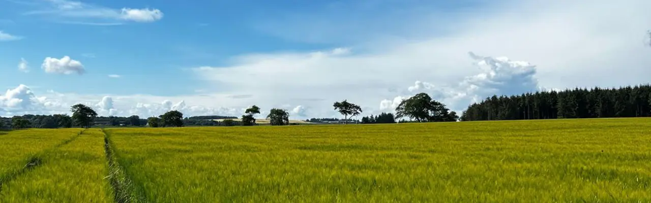 Natural Capital Update | Scottish Basic Payment Scheme update spells out steps to qualify for subsidy: Natural Capital | Barley