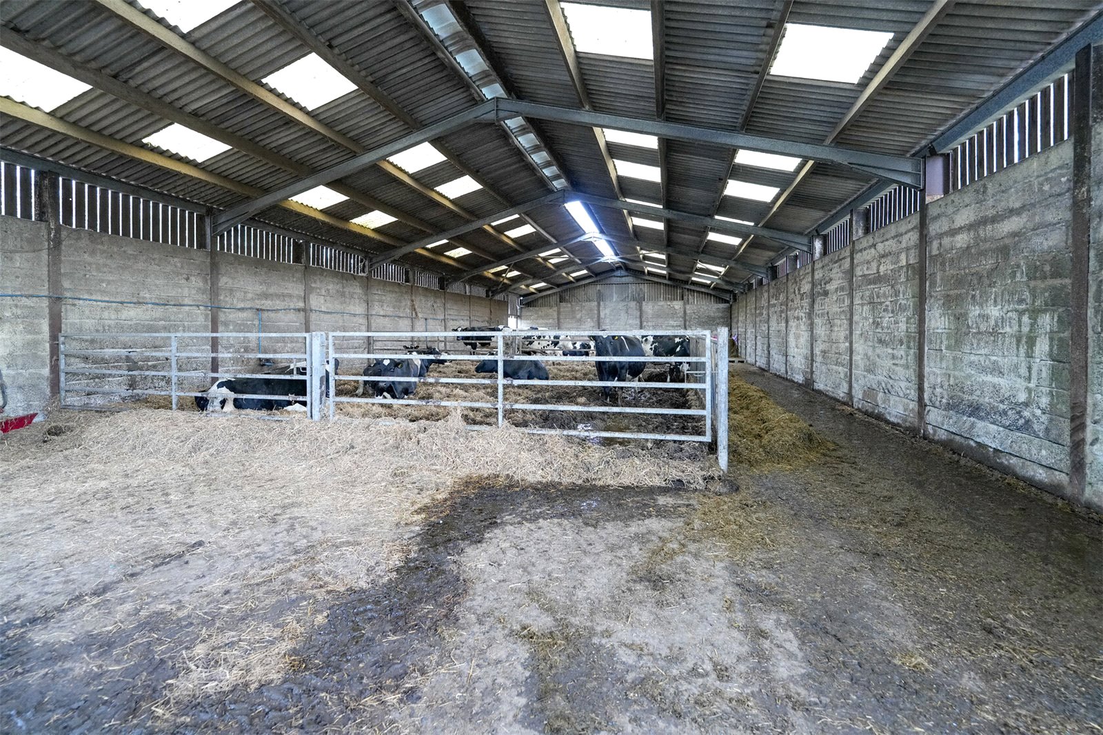 Straw Cattle Court