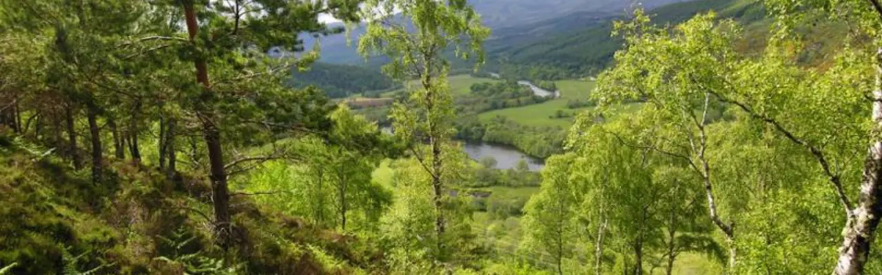The Forestry and Land Management (Scotland) Bill: Native Woodland Management 808X455