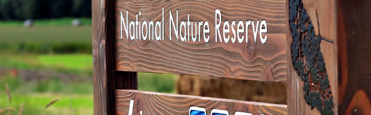 Natural capital update: Peatland restoration – providing good health for people and nature: Flanders D6930 Jpg Original Image M23928 (1)