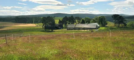 The good life: why smallholdings are in demand: 1560778367 Small Holding 808X455