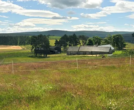 The good life: why smallholdings are in demand: 1560778367 Small Holding 808X455