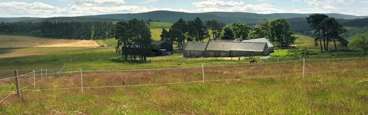 The good life: why smallholdings are in demand: 1560778367 Small Holding 808X455