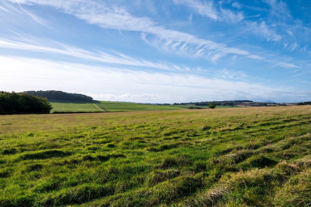 Farmland