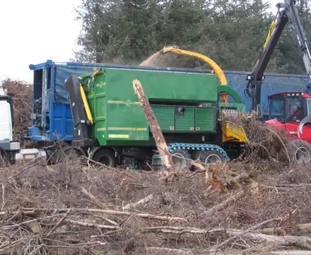 The beneﬁts of brash removal: 1595421434 Brash Recovery 2 808X455