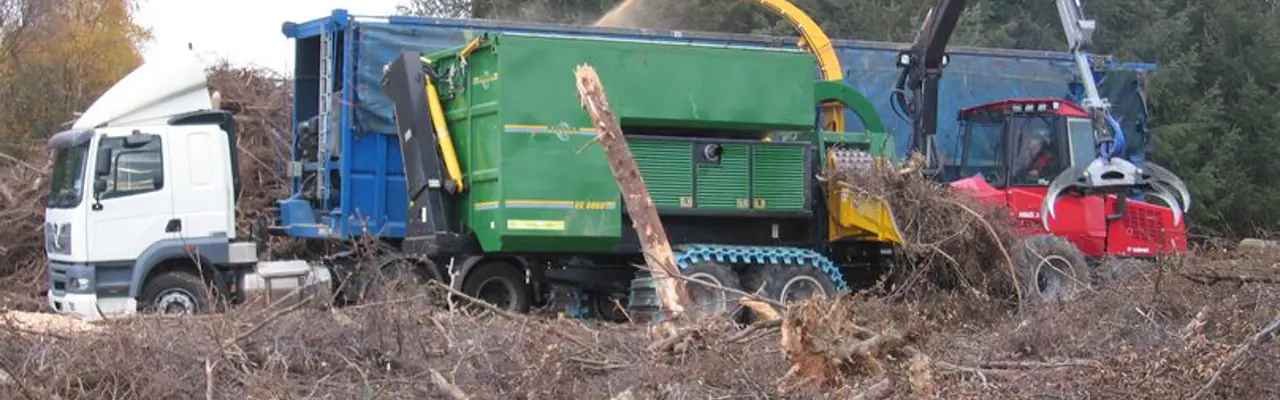 The beneﬁts of brash removal: 1595421434 Brash Recovery 2 808X455