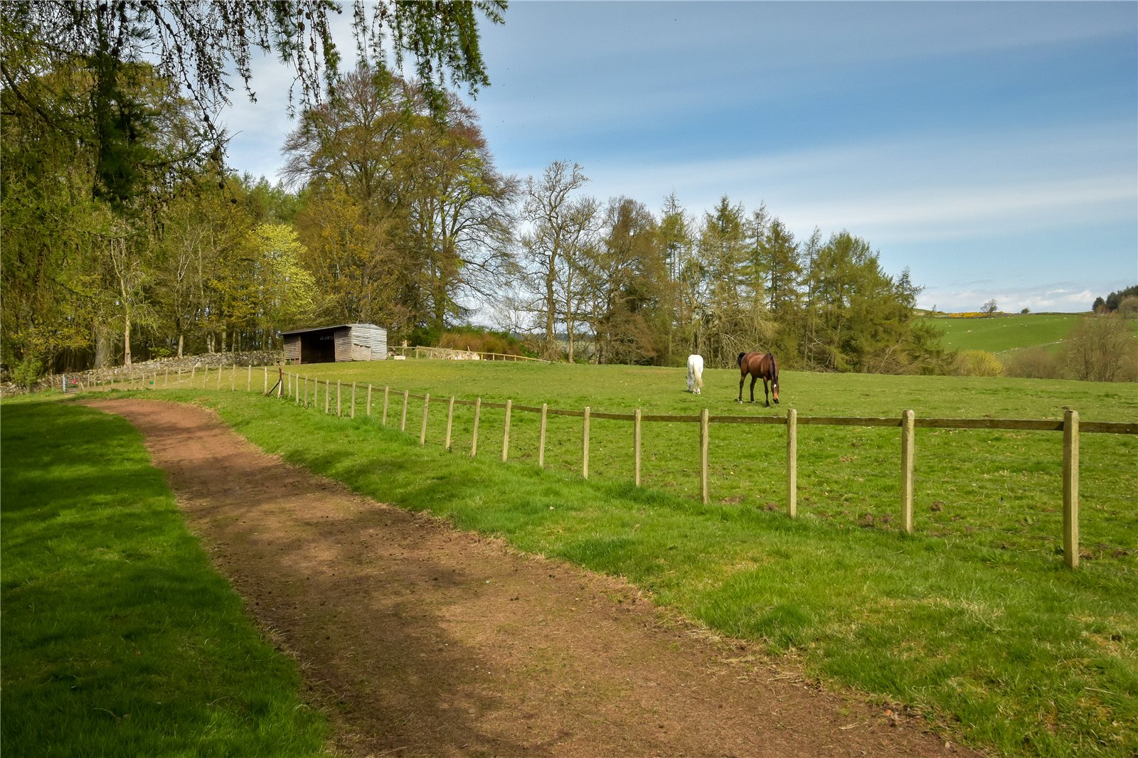 Paddocks
