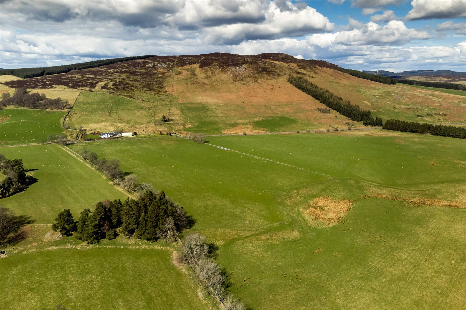 Aerial North