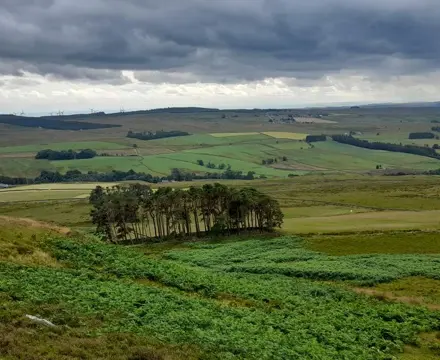 Natural capital update: 30x30 – What does it mean?: 2022 07 24 Landscape