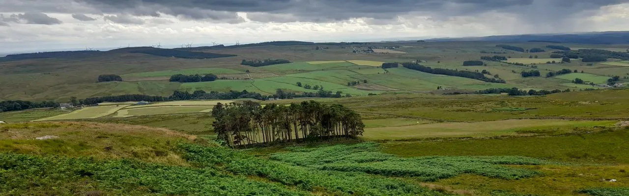 Natural capital update: 30x30 – What does it mean?: 2022 07 24 Landscape