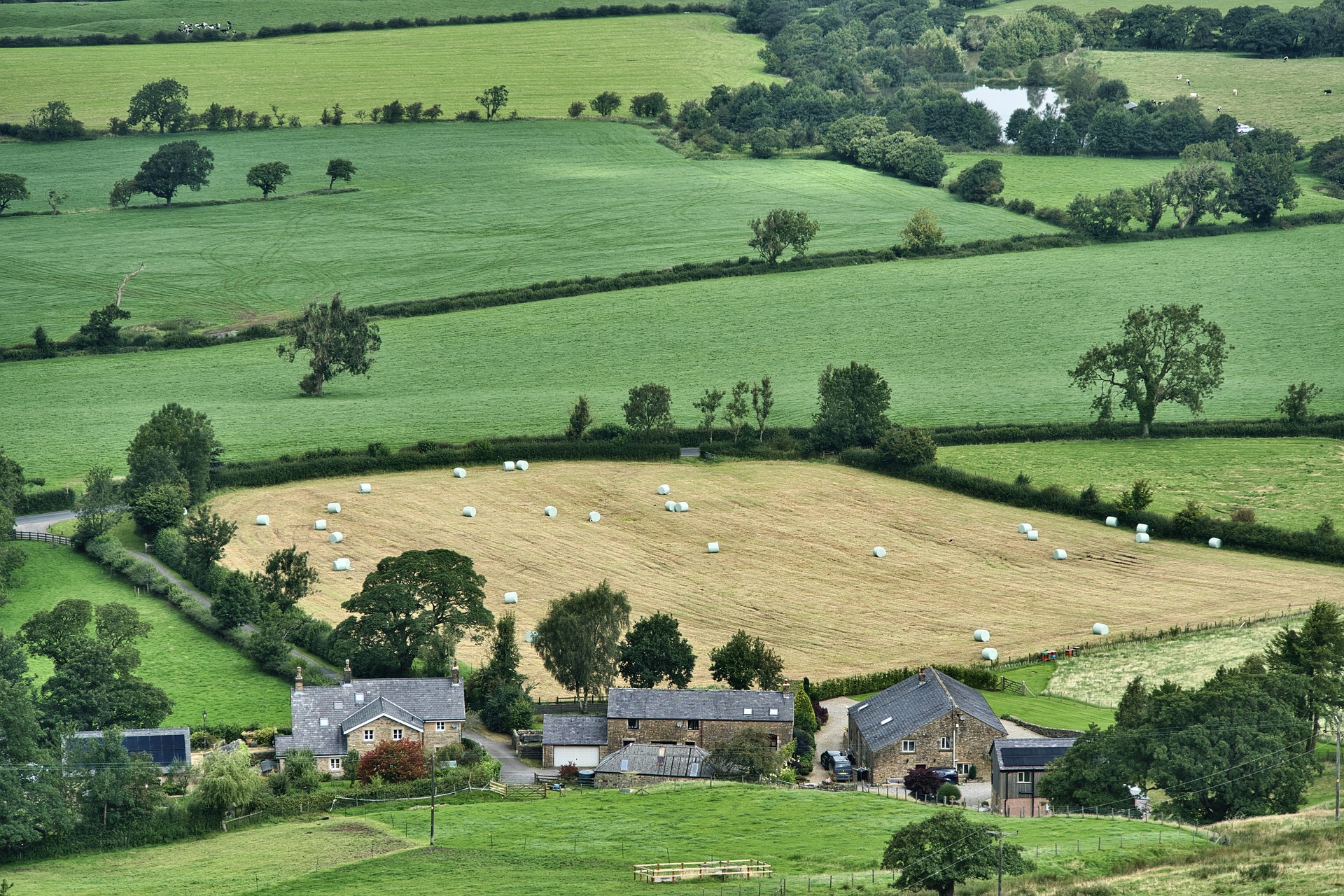 Natural Capital Update | Rural