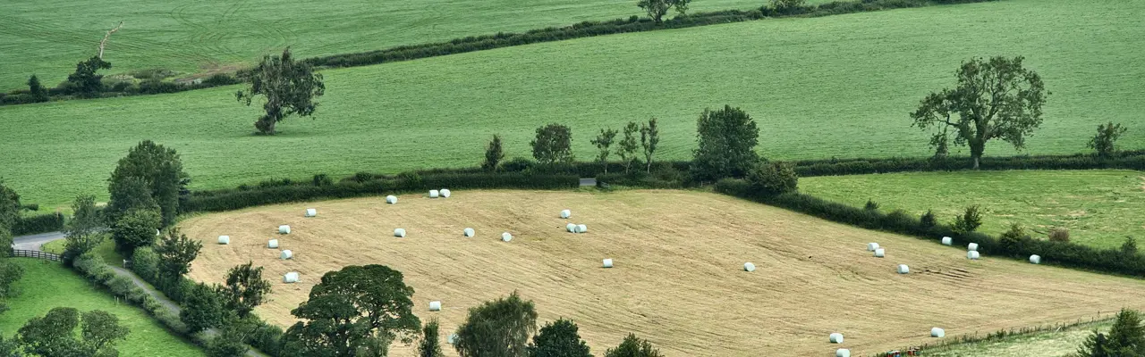 Natural Capital Update | Welcome boost for environmental schemes helps farmers balance nature and food : Natural Capital Update | Rural