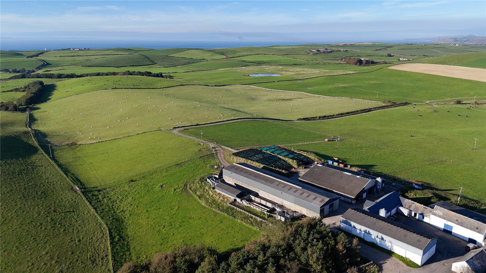 Farm View