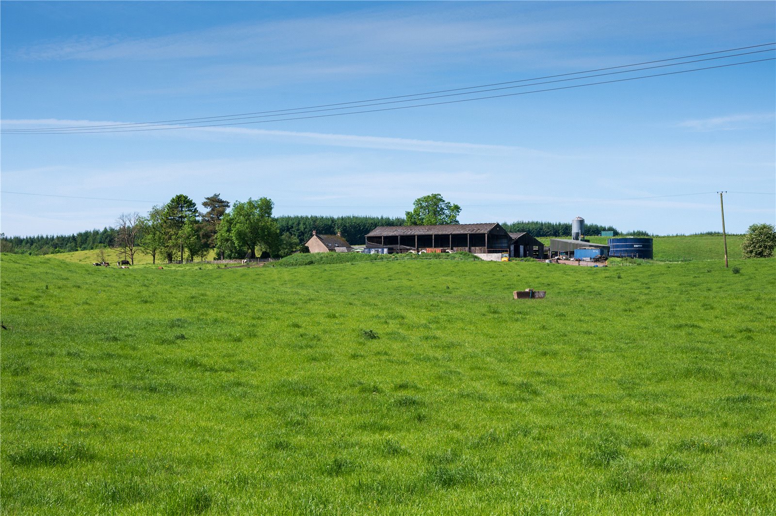 Land and Steading