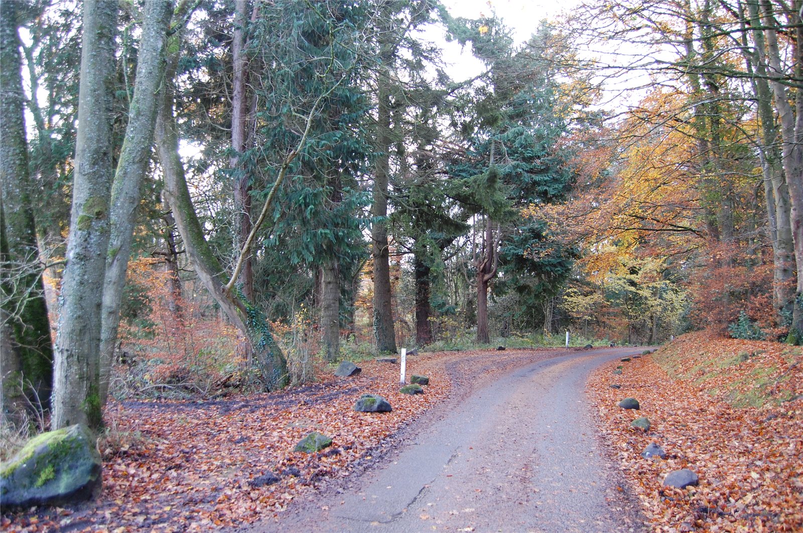 Dower House Plot