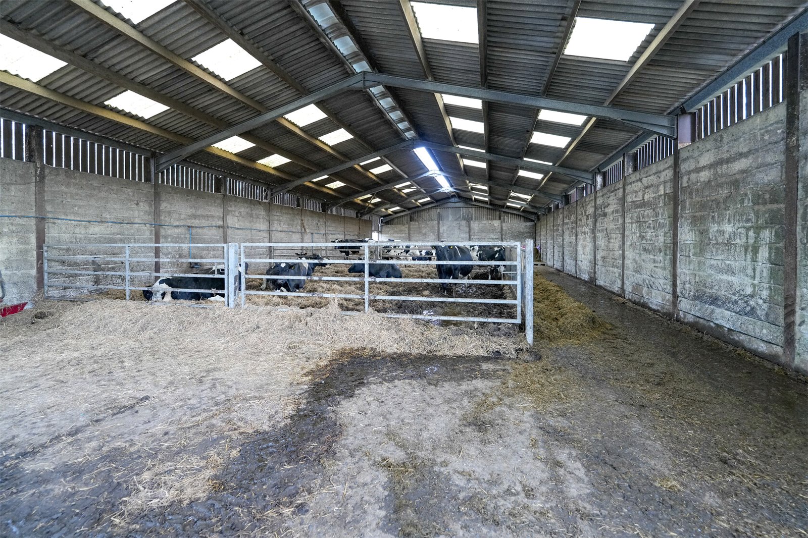 Straw Cattle Court