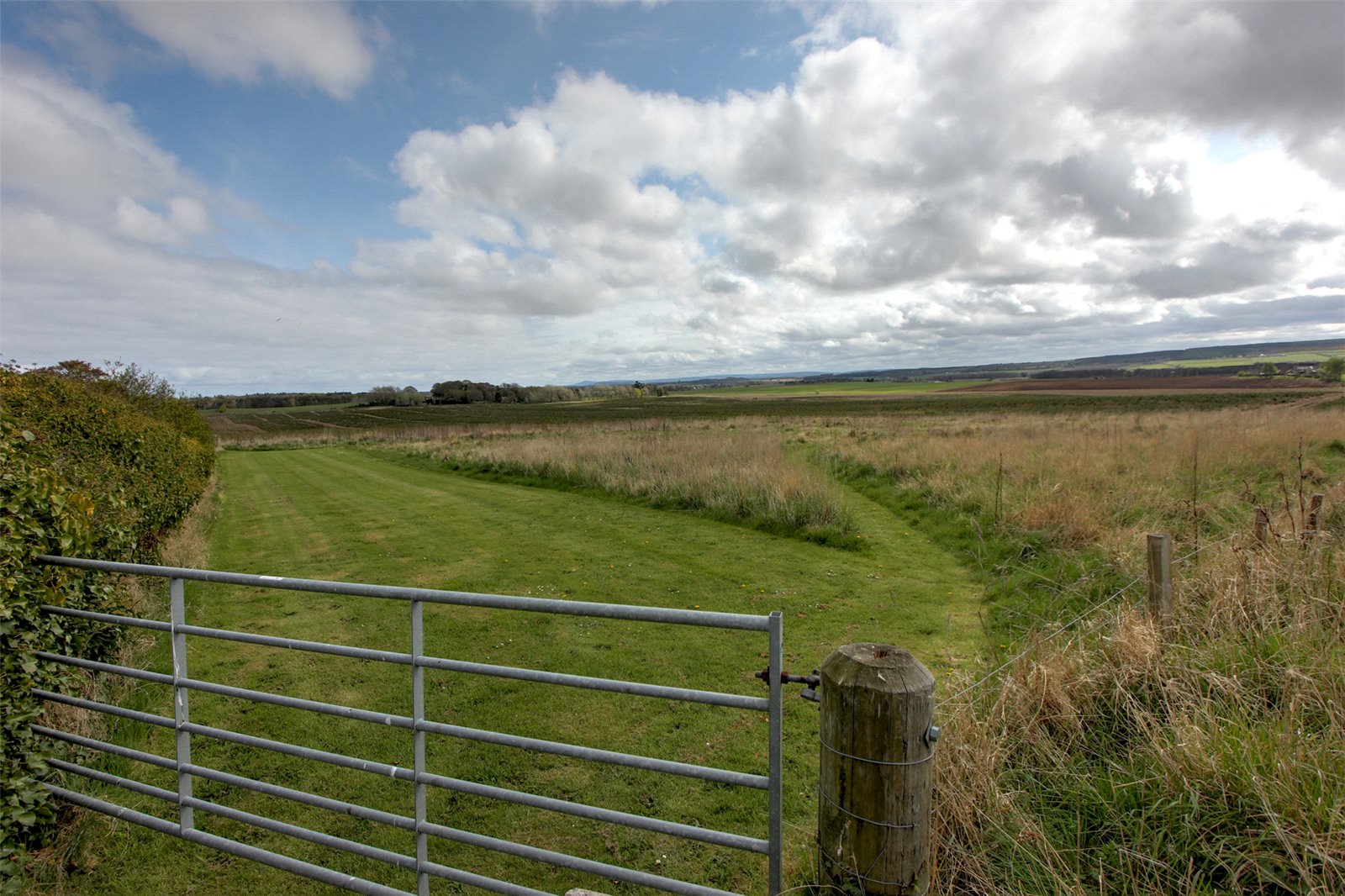 Grazing Paddock