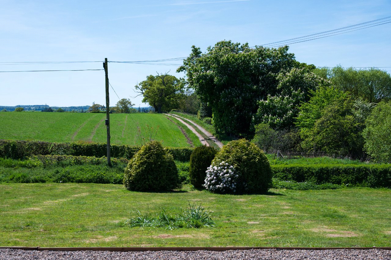 Front Lawn