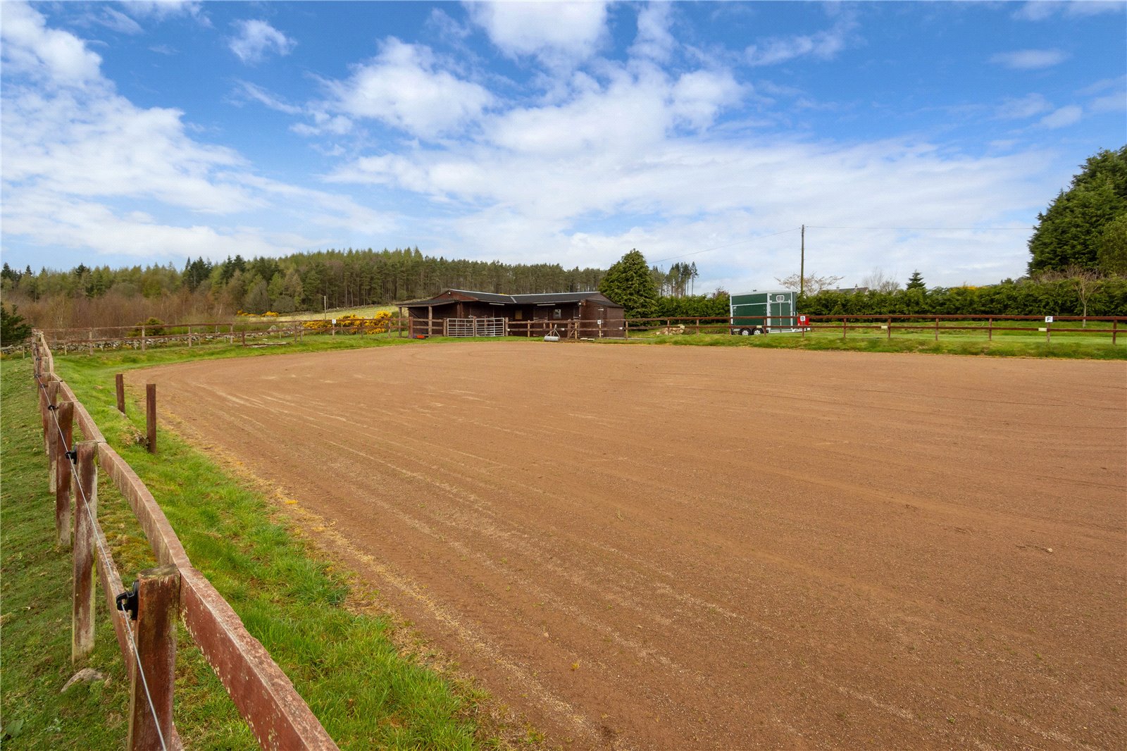 Arena