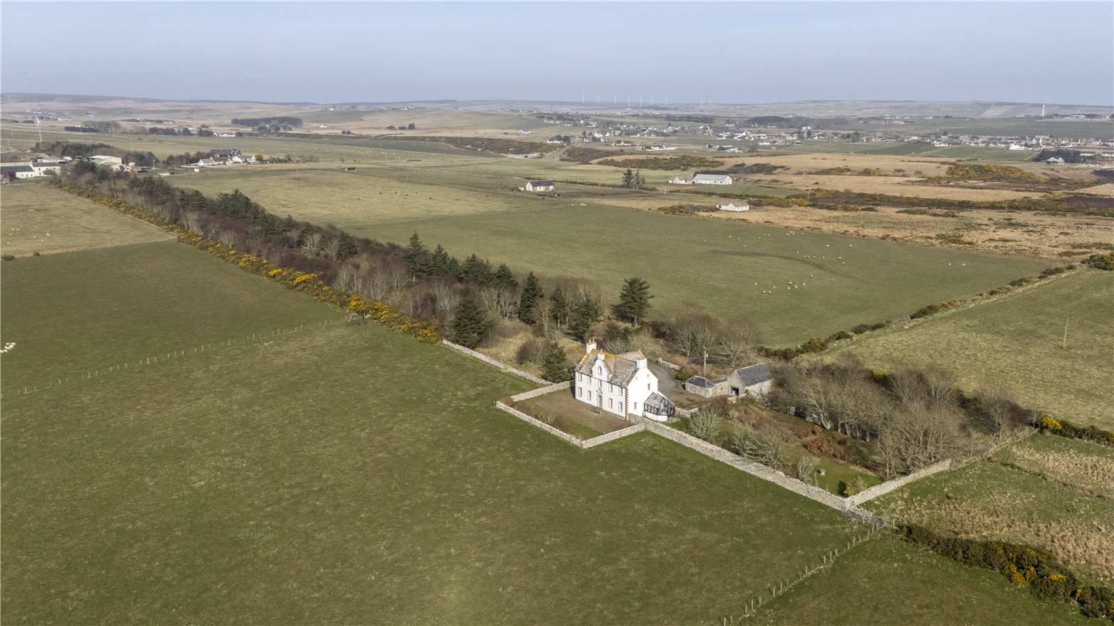 Overview