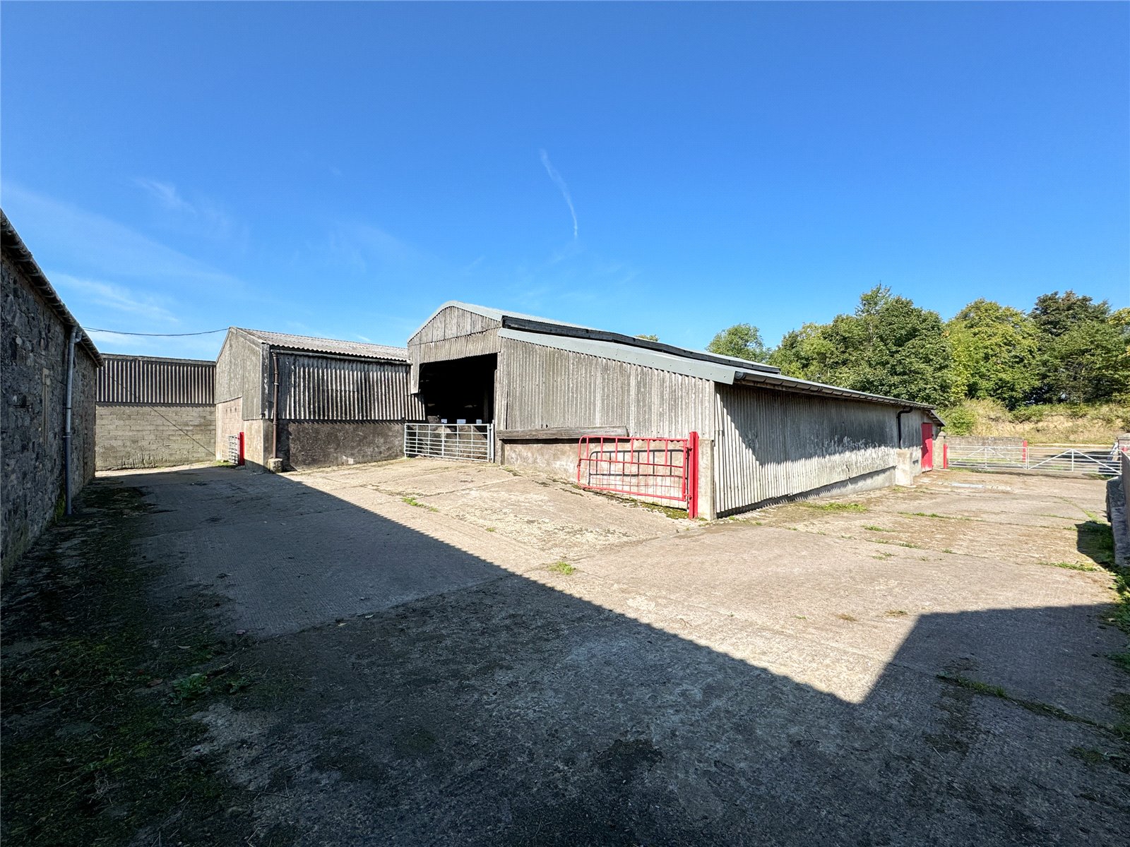 Shed