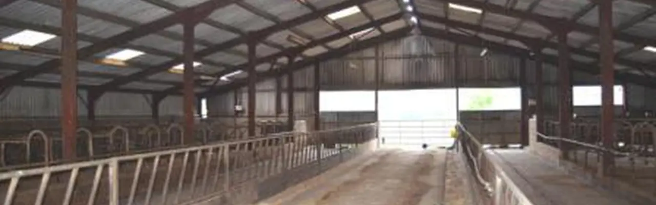 Exceptional Livestock And Arable Farm For Sale On The West Coast Of Scotland: Auchafour 2 808X455