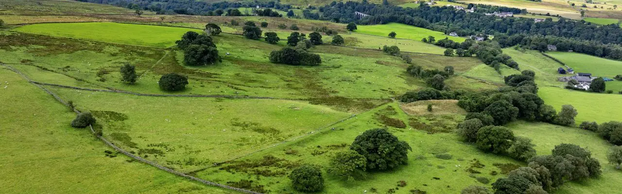 Tenders invited for superb 15-year farm business tenancy : Moss House Farm 1