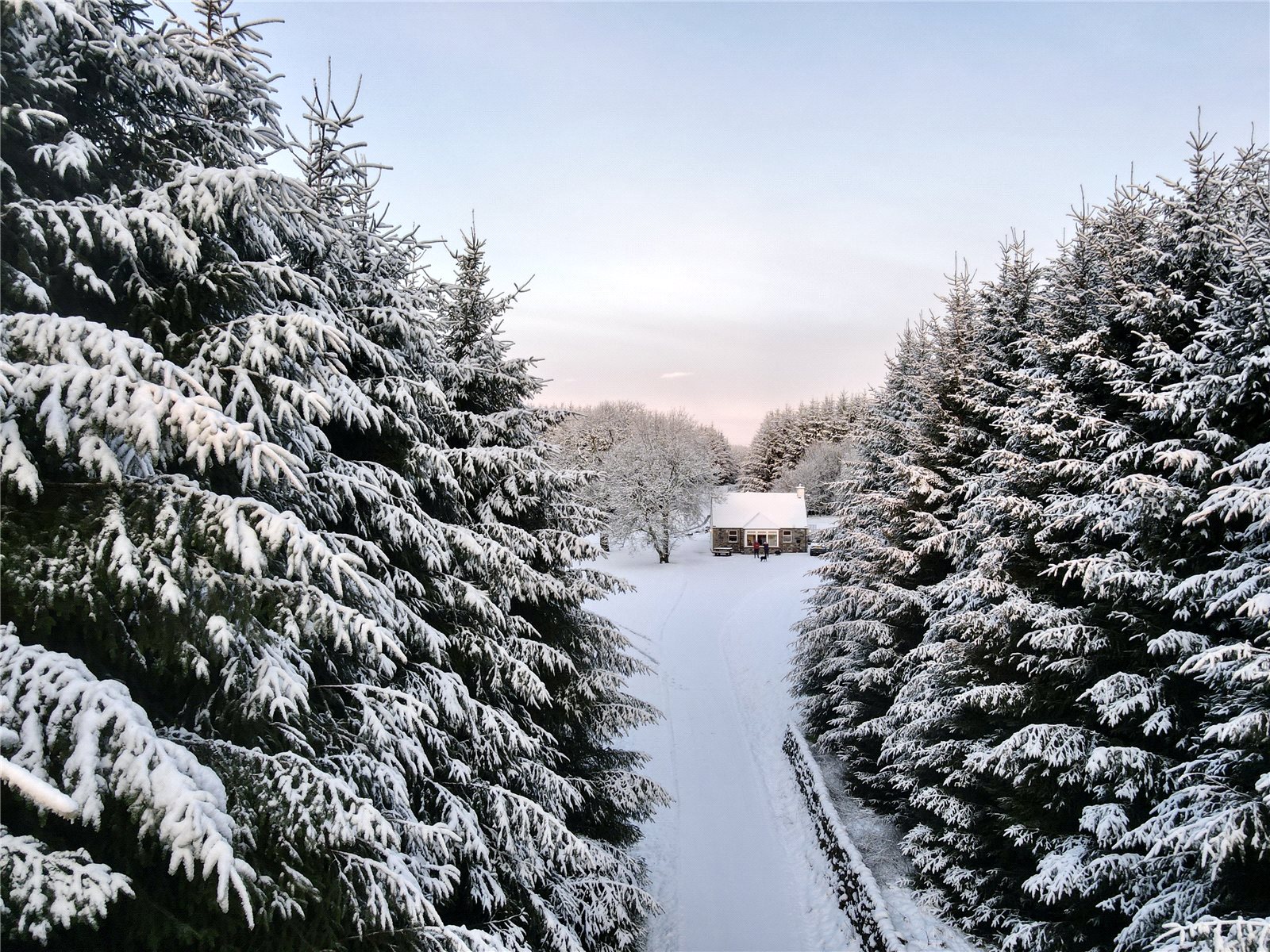 Stunning Winter