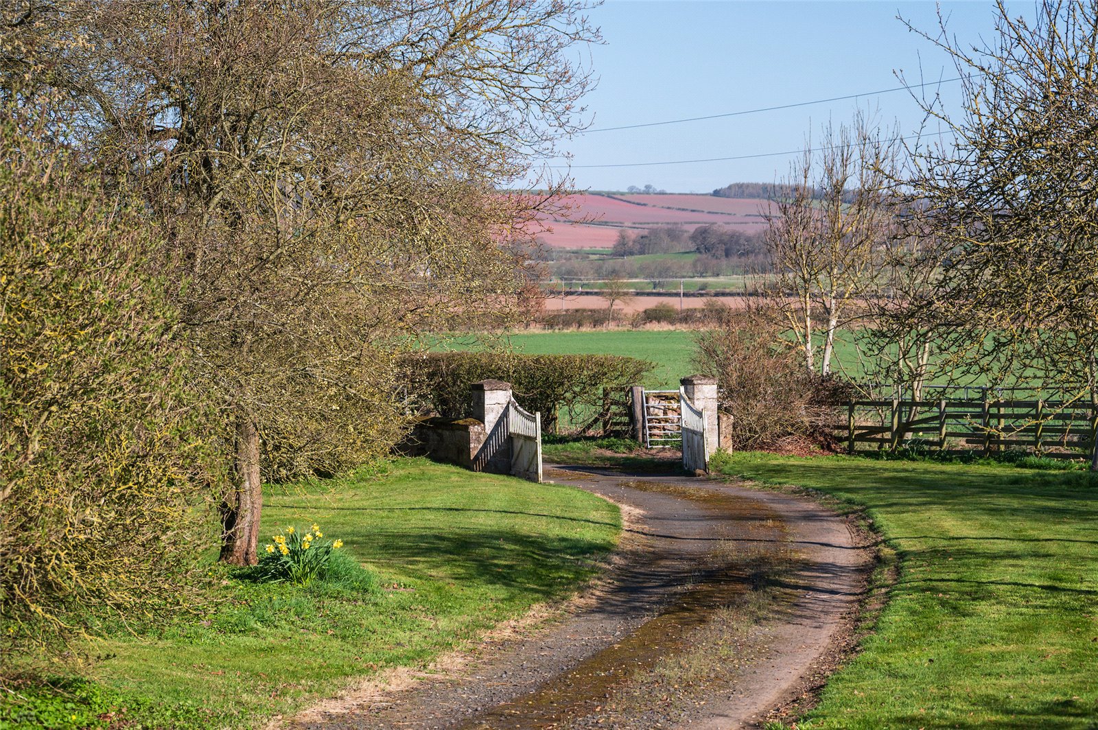 Driveway