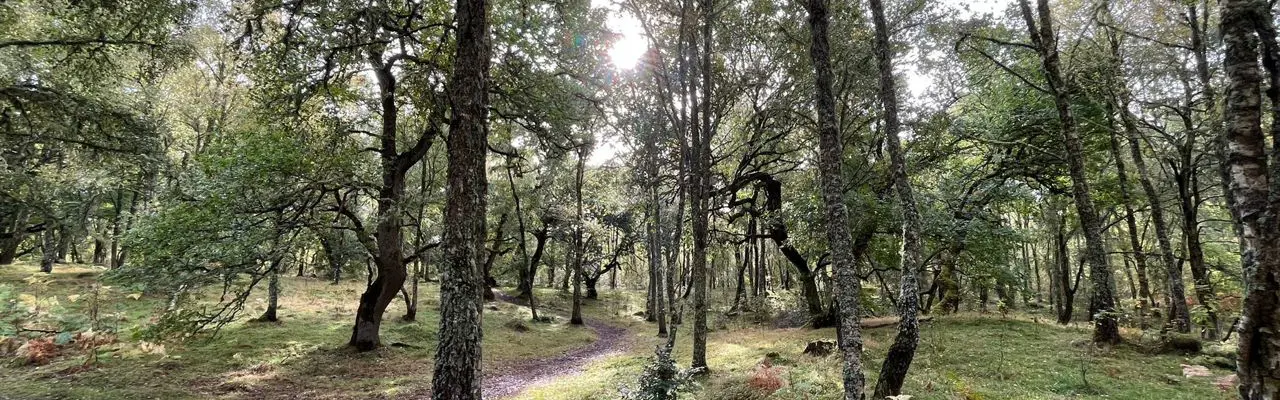 Natural capital update: don’t miss the Scottish Biodiversity Metric opportunity: IMG 20231013 WA0014 (1)