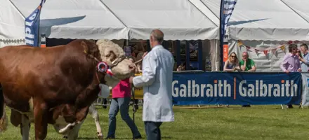 Fife Show 2022: 1558086329 Fife Show 2018 21 808X455