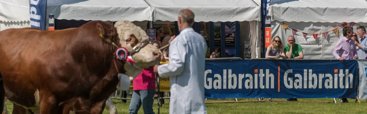 Fife Show 2022: 1558086329 Fife Show 2018 21 808X455